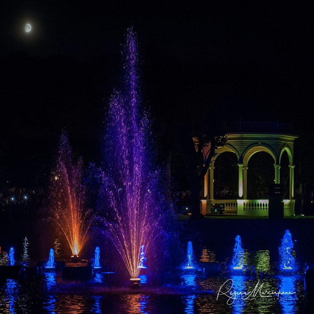 Wandering Lights / Фестиваль 