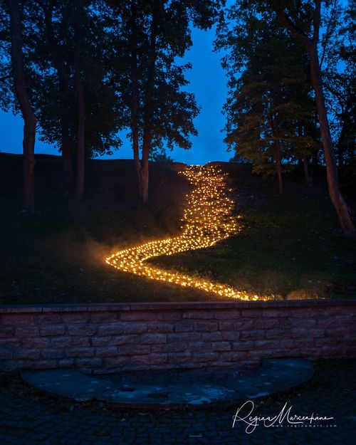 Wandering Lights / Фестиваль 