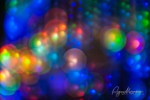 Wandering Lights / Фестиваль 