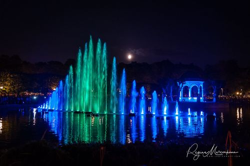 Wandering Lights / Фестиваль 