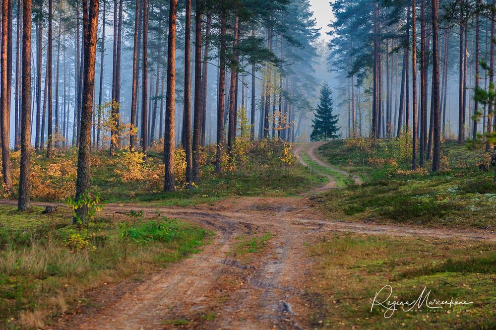 Осенняя прогулка в Суниши (Sunīši / Suniši)