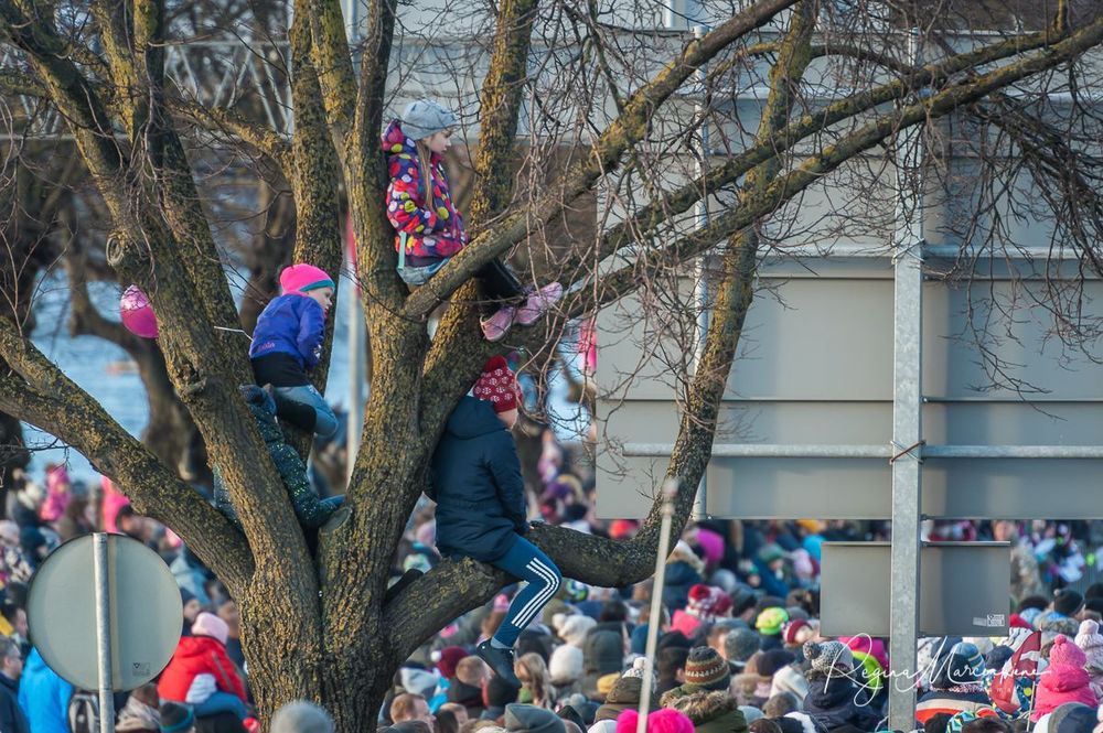 Latvia celebrates 100 / Latvija 100