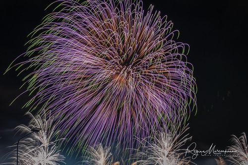 Saules Mūžs fireworks presentation / Световое представление 