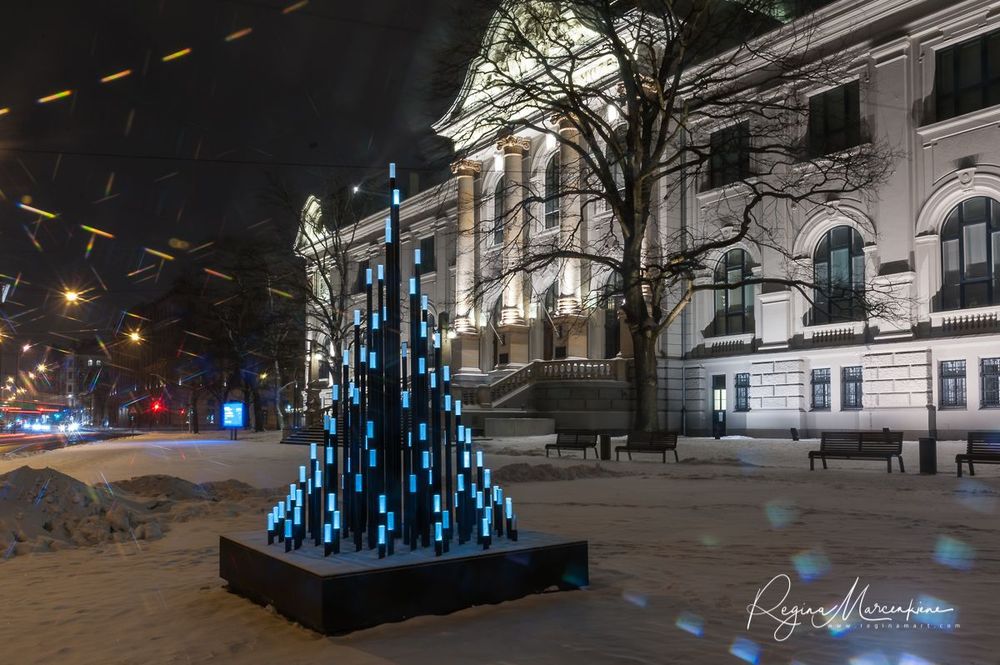 The way through the Christmas trees / Путь рождественских елок 