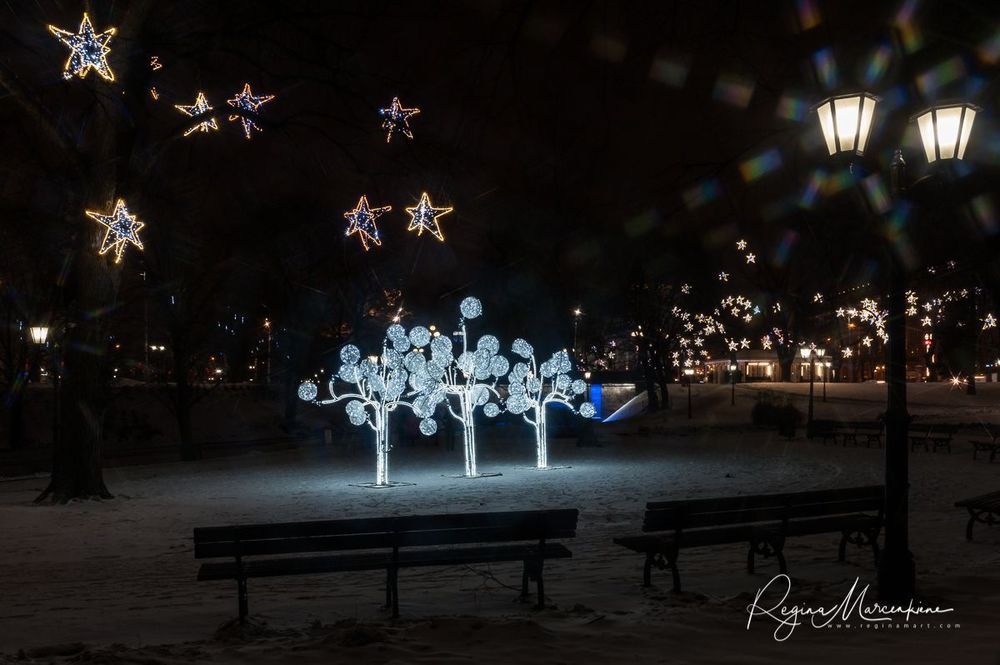The way through the Christmas trees / Путь рождественских елок 