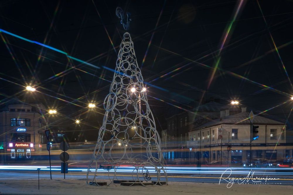 The way through the Christmas trees / Путь рождественских елок 