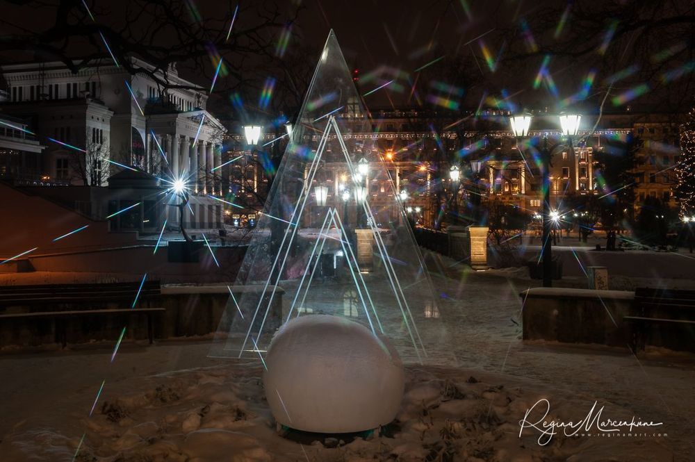 The way through the Christmas trees / Путь рождественских елок 
