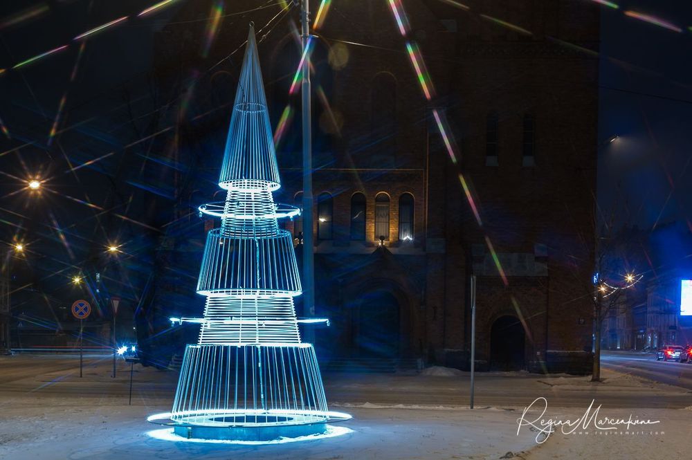 The way through the Christmas trees / Путь рождественских елок 