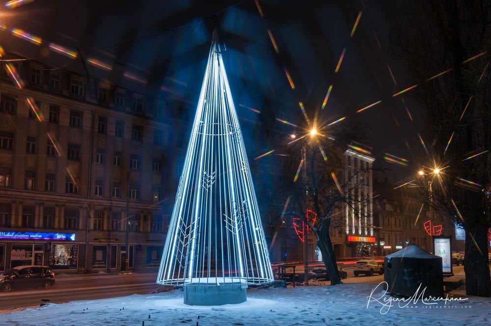 The way through the Christmas trees / Путь рождественских елок 