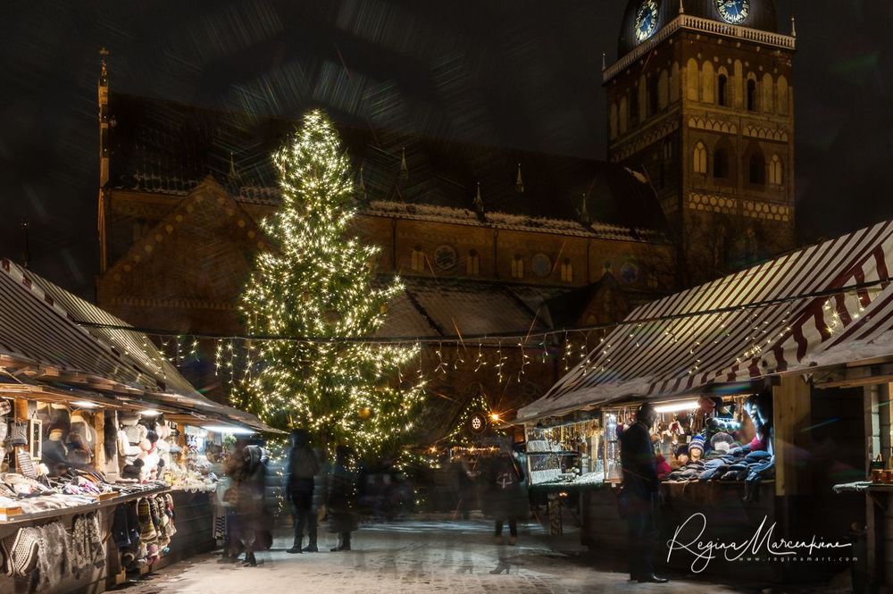 The way through the Christmas trees / Путь рождественских елок 