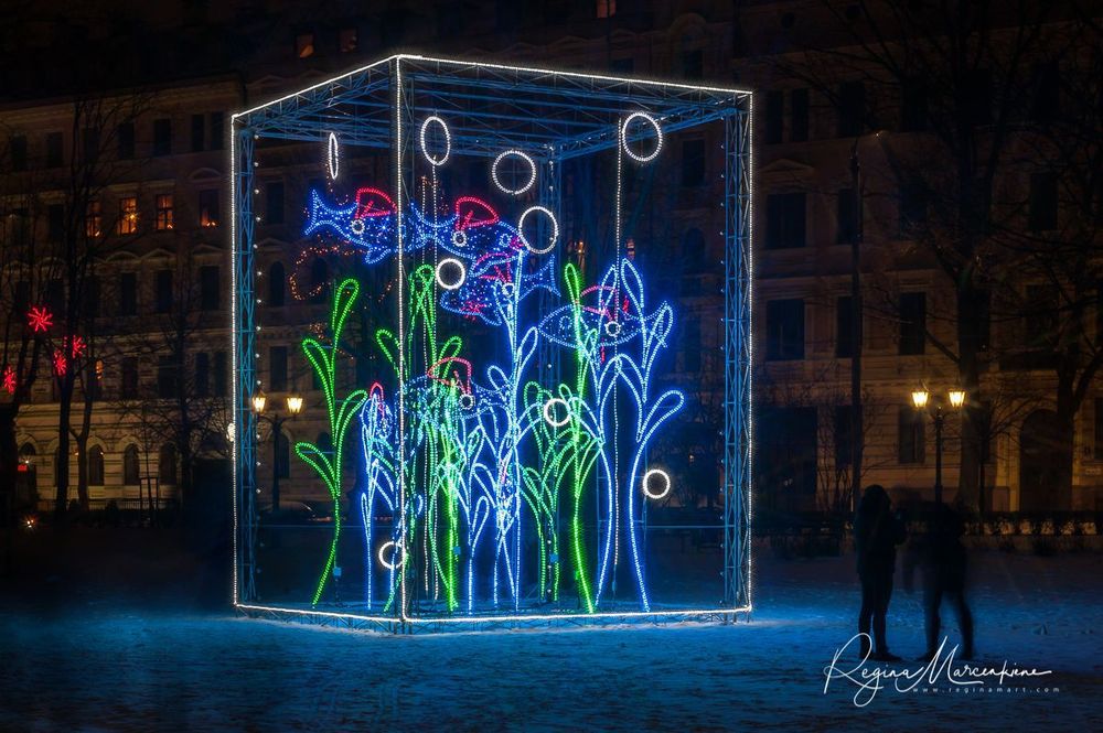 The way through the Christmas trees / Путь рождественских елок 