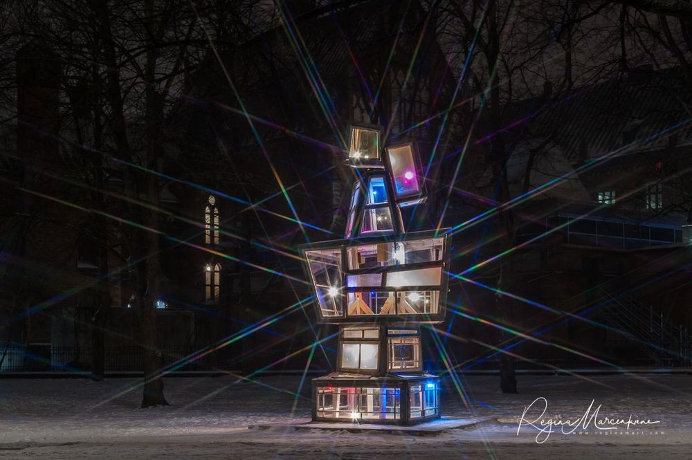 The way through the Christmas trees / Путь рождественских елок 