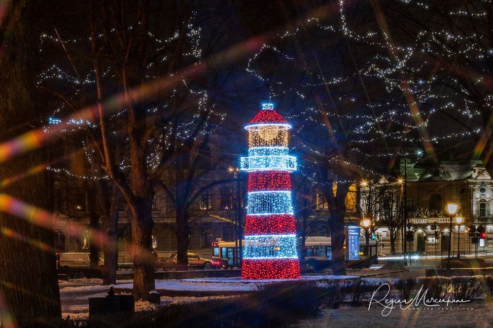 The way through the Christmas trees / Путь рождественских елок 
