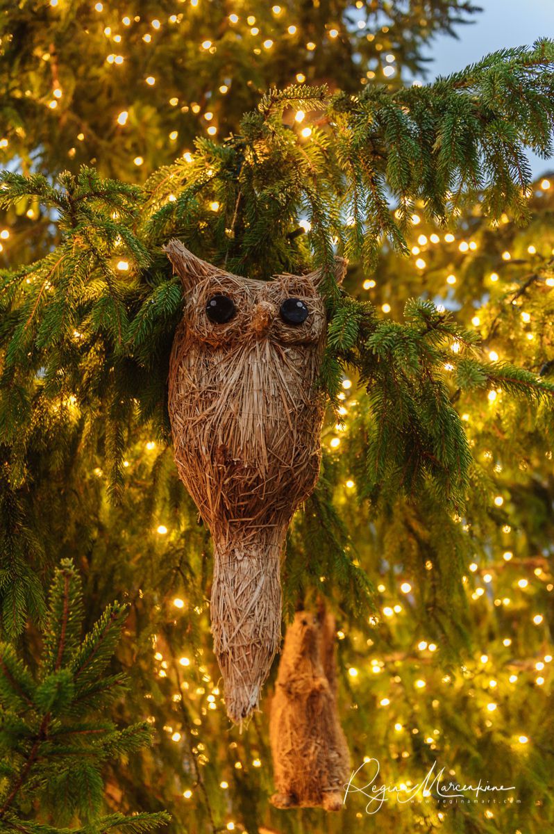 The way through the Christmas trees / Путь рождественских елок 