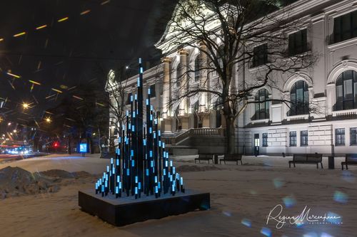 The way through the Christmas trees / Путь рождественских елок 