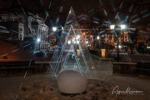 The way through the Christmas trees / Путь рождественских елок 