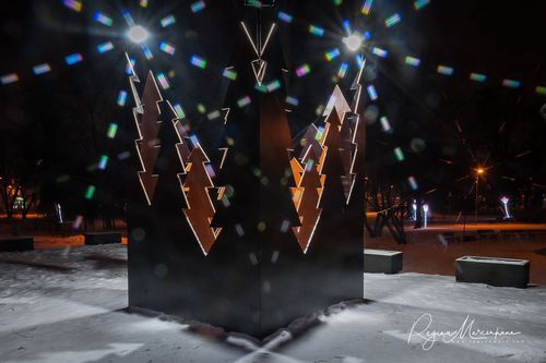 The way through the Christmas trees / Путь рождественских елок 
