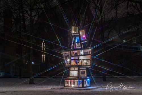 The way through the Christmas trees / Путь рождественских елок 