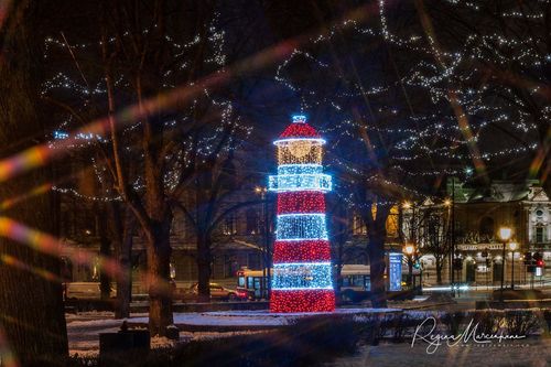 The way through the Christmas trees / Путь рождественских елок 