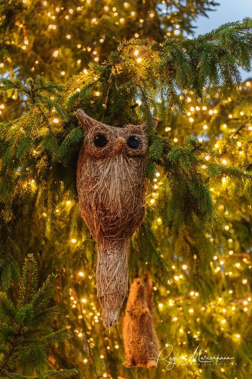 The way through the Christmas trees / Путь рождественских елок 