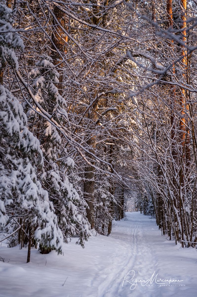 Кубесельская природная тропа (Kubeseles dabas taka / Kubesele nature trail)