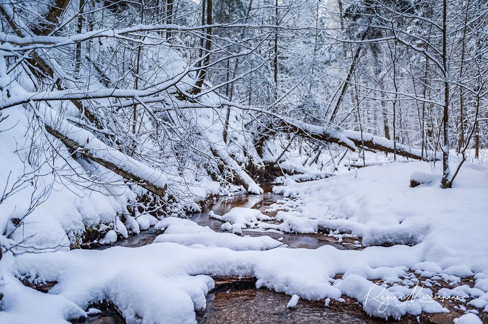 Кубесельская природная тропа (Kubeseles dabas taka / Kubesele nature trail)