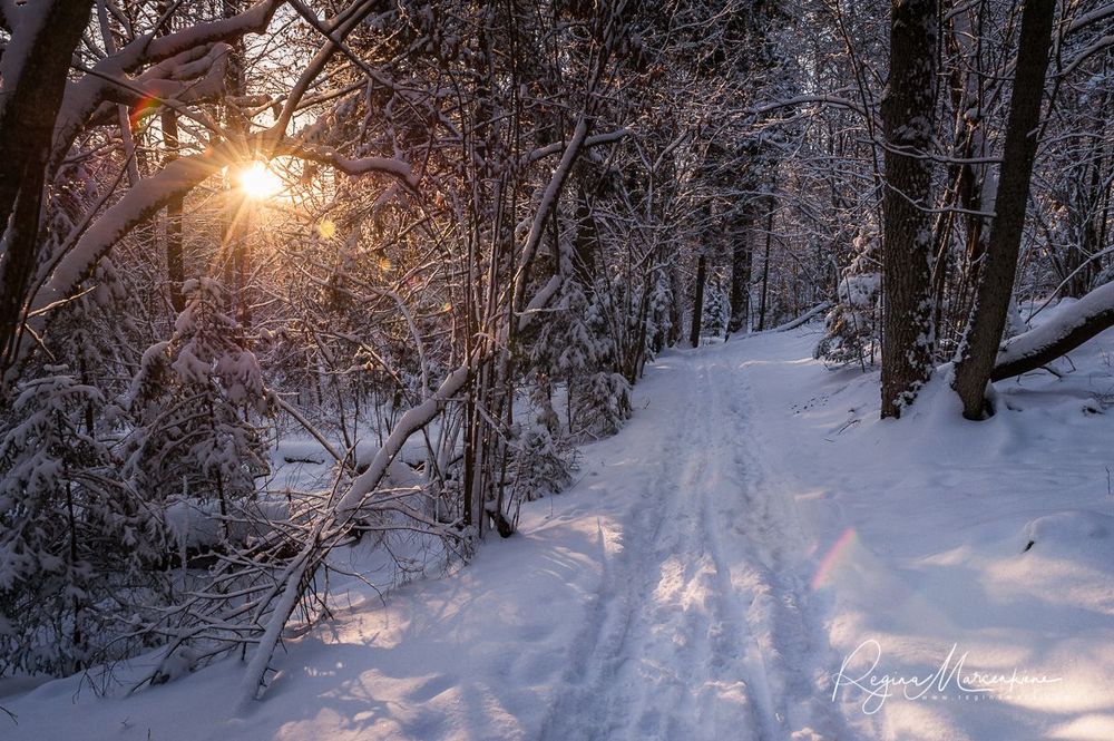 Кубесельская природная тропа (Kubeseles dabas taka / Kubesele nature trail)
