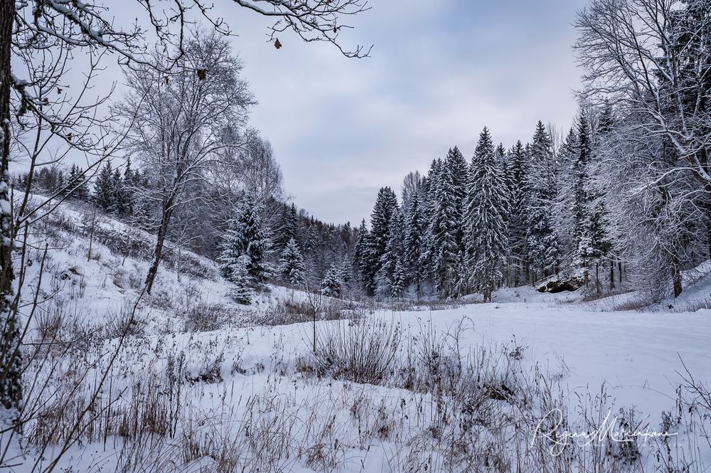 Кубесельская природная тропа (Kubeseles dabas taka / Kubesele nature trail)