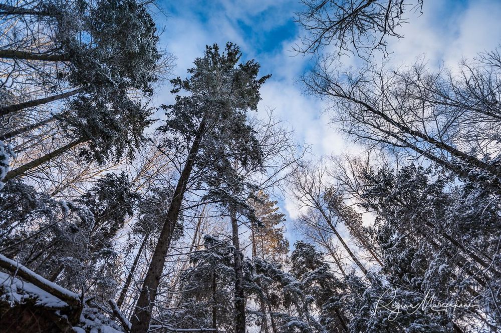 Кубесельская природная тропа (Kubeseles dabas taka / Kubesele nature trail)