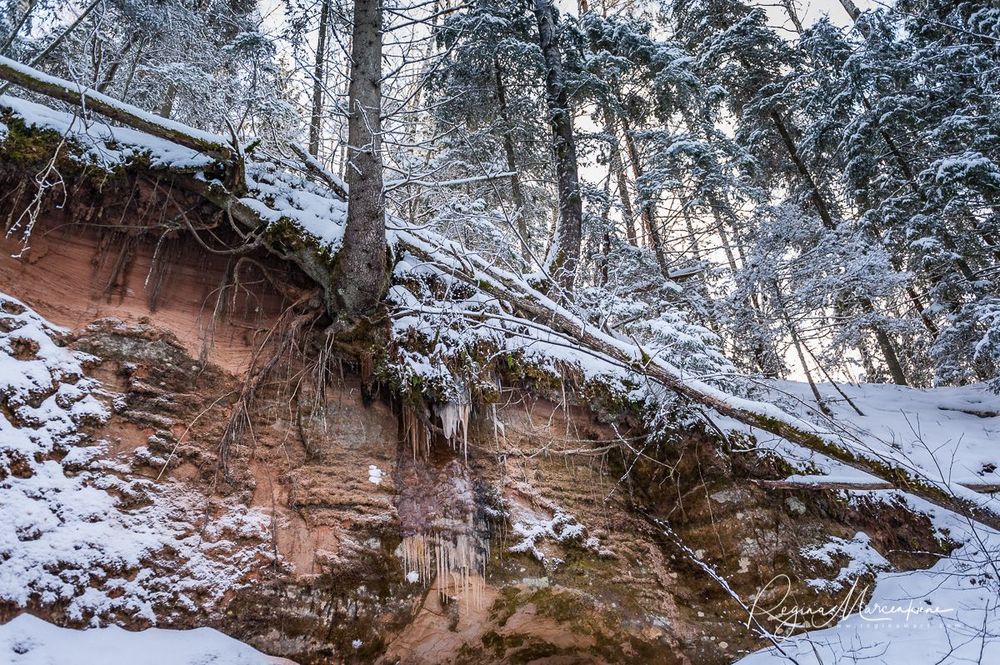 Кубесельская природная тропа (Kubeseles dabas taka / Kubesele nature trail)