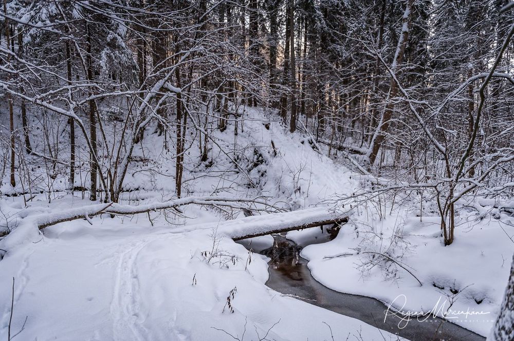 Кубесельская природная тропа (Kubeseles dabas taka / Kubesele nature trail)