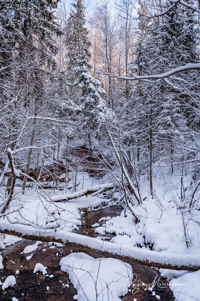 Кубесельская природная тропа (Kubeseles dabas taka / Kubesele nature trail)