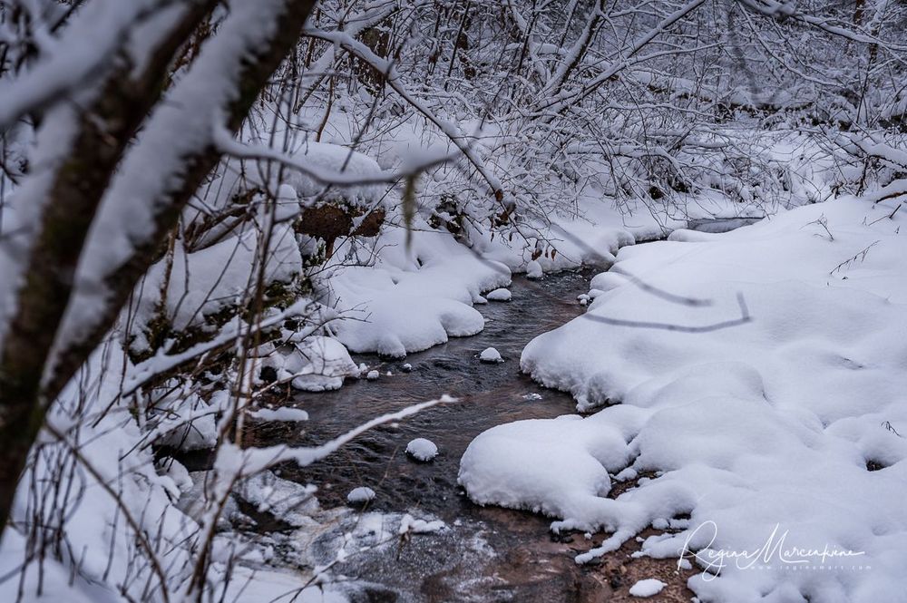 Кубесельская природная тропа (Kubeseles dabas taka / Kubesele nature trail)