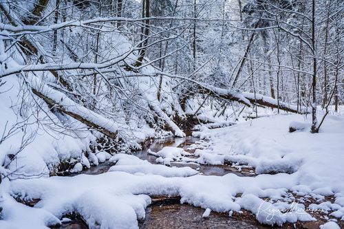 Кубесельская природная тропа (Kubeseles dabas taka / Kubesele nature trail)
