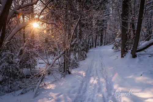 Кубесельская природная тропа (Kubeseles dabas taka / Kubesele nature trail)