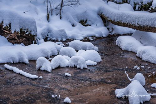 Кубесельская природная тропа (Kubeseles dabas taka / Kubesele nature trail)