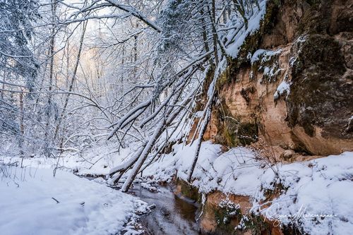 Кубесельская природная тропа (Kubeseles dabas taka / Kubesele nature trail)