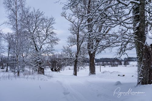 Кубесельская природная тропа (Kubeseles dabas taka / Kubesele nature trail)