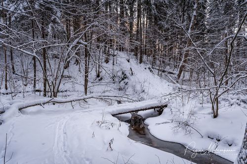 Кубесельская природная тропа (Kubeseles dabas taka / Kubesele nature trail)