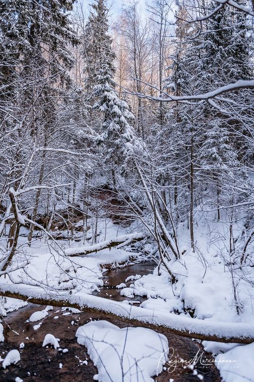 Кубесельская природная тропа (Kubeseles dabas taka / Kubesele nature trail)