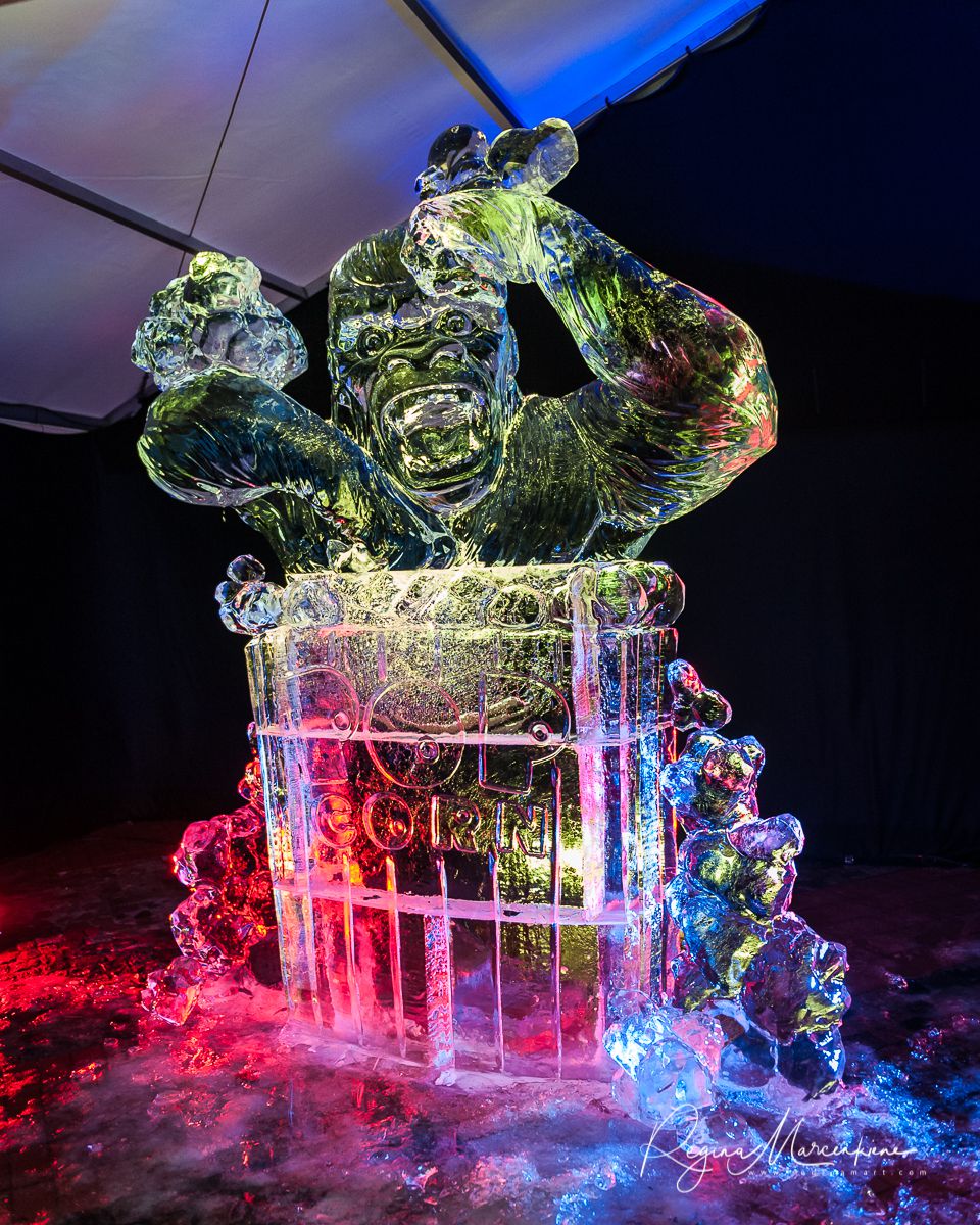 21st International Ice Sculpture Festival in Jelgava / XXI Международный фестиваль ледовых скульптур в Елгаве