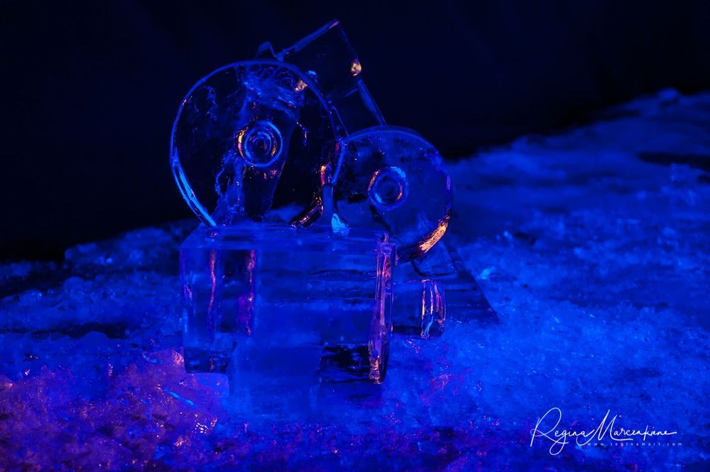 21st International Ice Sculpture Festival in Jelgava / XXI Международный фестиваль ледовых скульптур в Елгаве