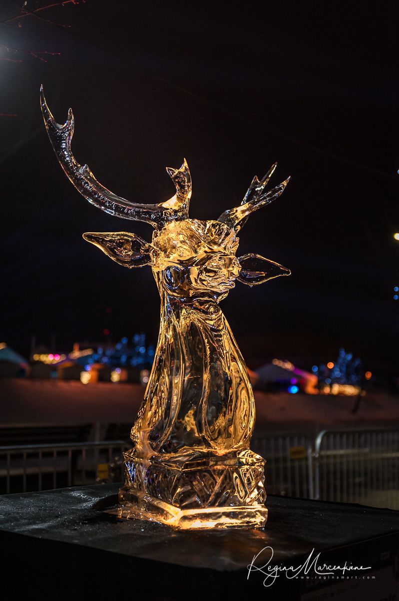 21st International Ice Sculpture Festival in Jelgava / XXI Международный фестиваль ледовых скульптур в Елгаве