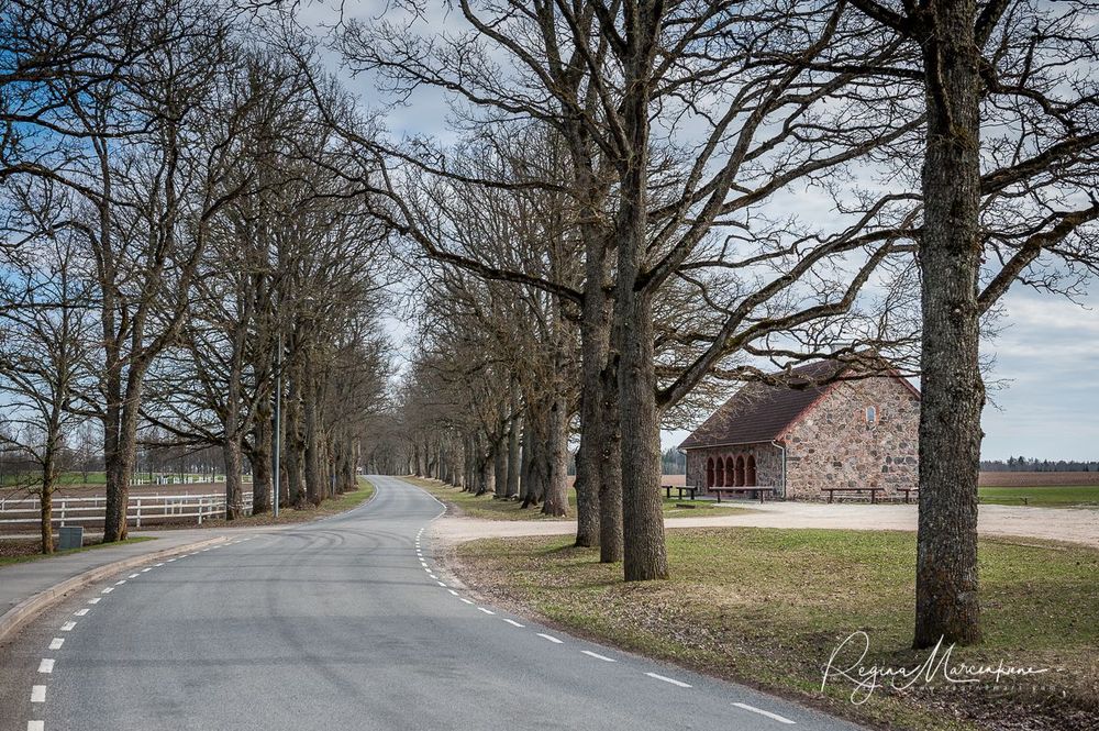Мыза Олуствере (Olustvere Mõis / Olustvere Manor)