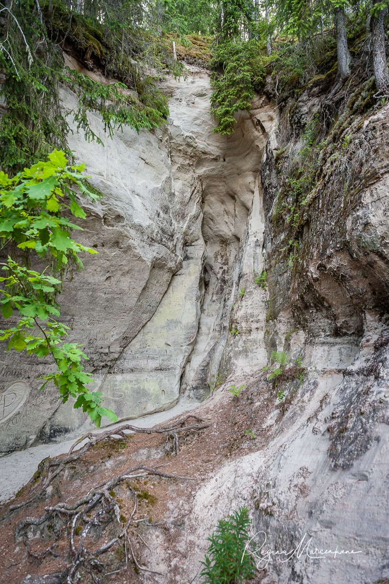 Утес Сиетиньиезис (Sietiņiezis / Sietiniezis Rock)