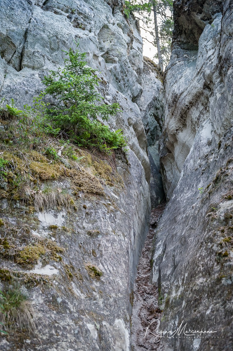 Утес Сиетиньиезис (Sietiņiezis / Sietiniezis Rock)