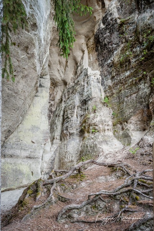Утес Сиетиньиезис (Sietiņiezis / Sietiniezis Rock)