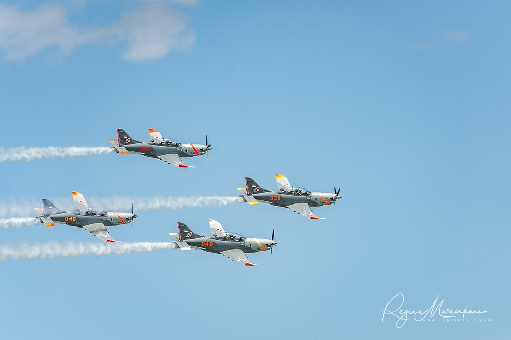 Wings Over Baltics Airshow 2019 / Авиашоу «Крылья над Балтией» 2019
