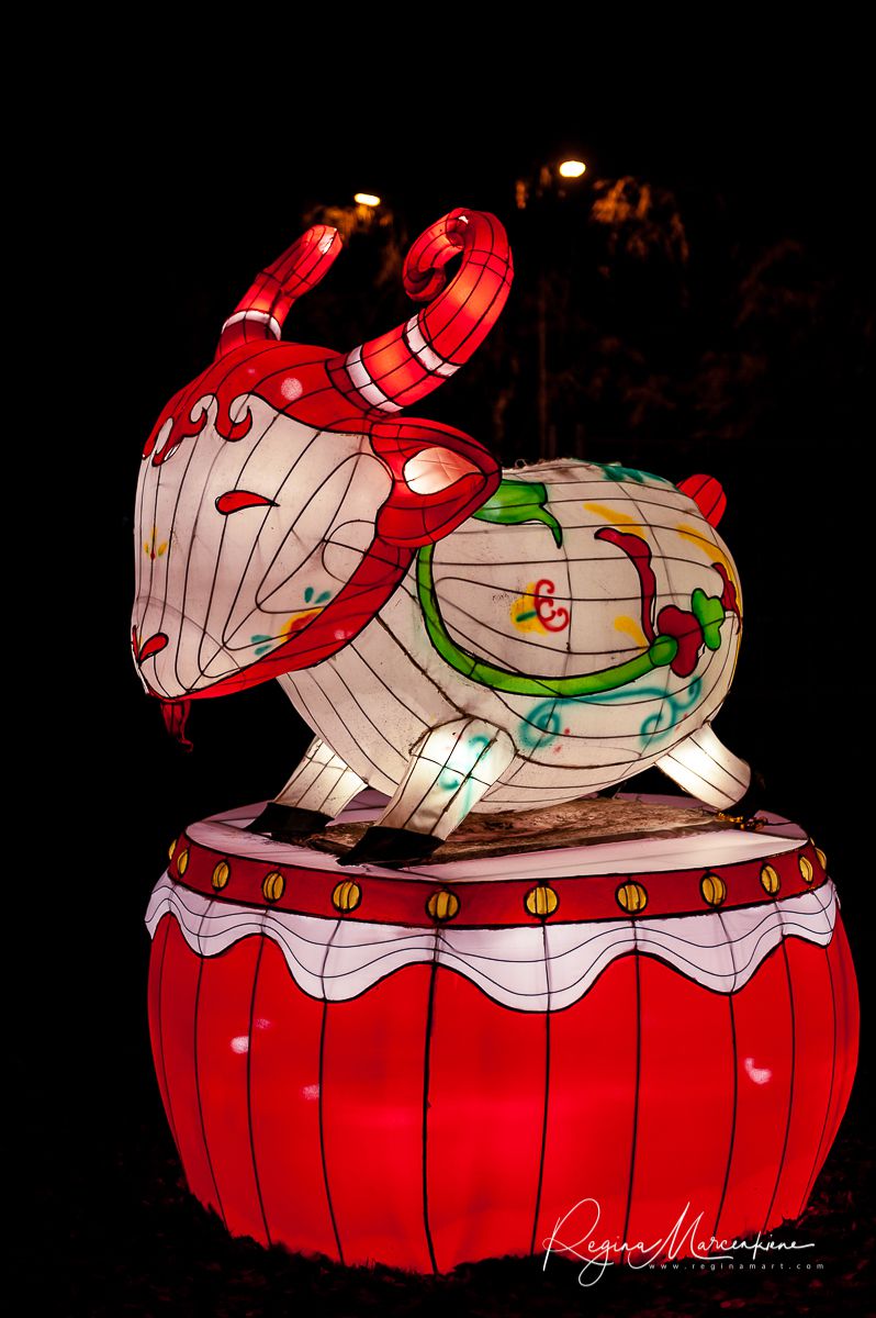 Greatest Asian Lantern Festival / Большой Азиатский фестиваль фонарей 