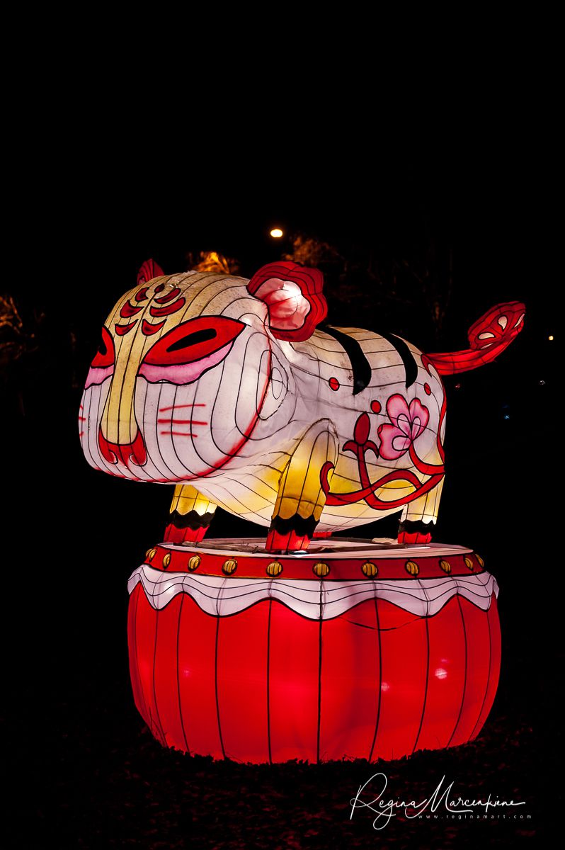 Greatest Asian Lantern Festival / Большой Азиатский фестиваль фонарей 